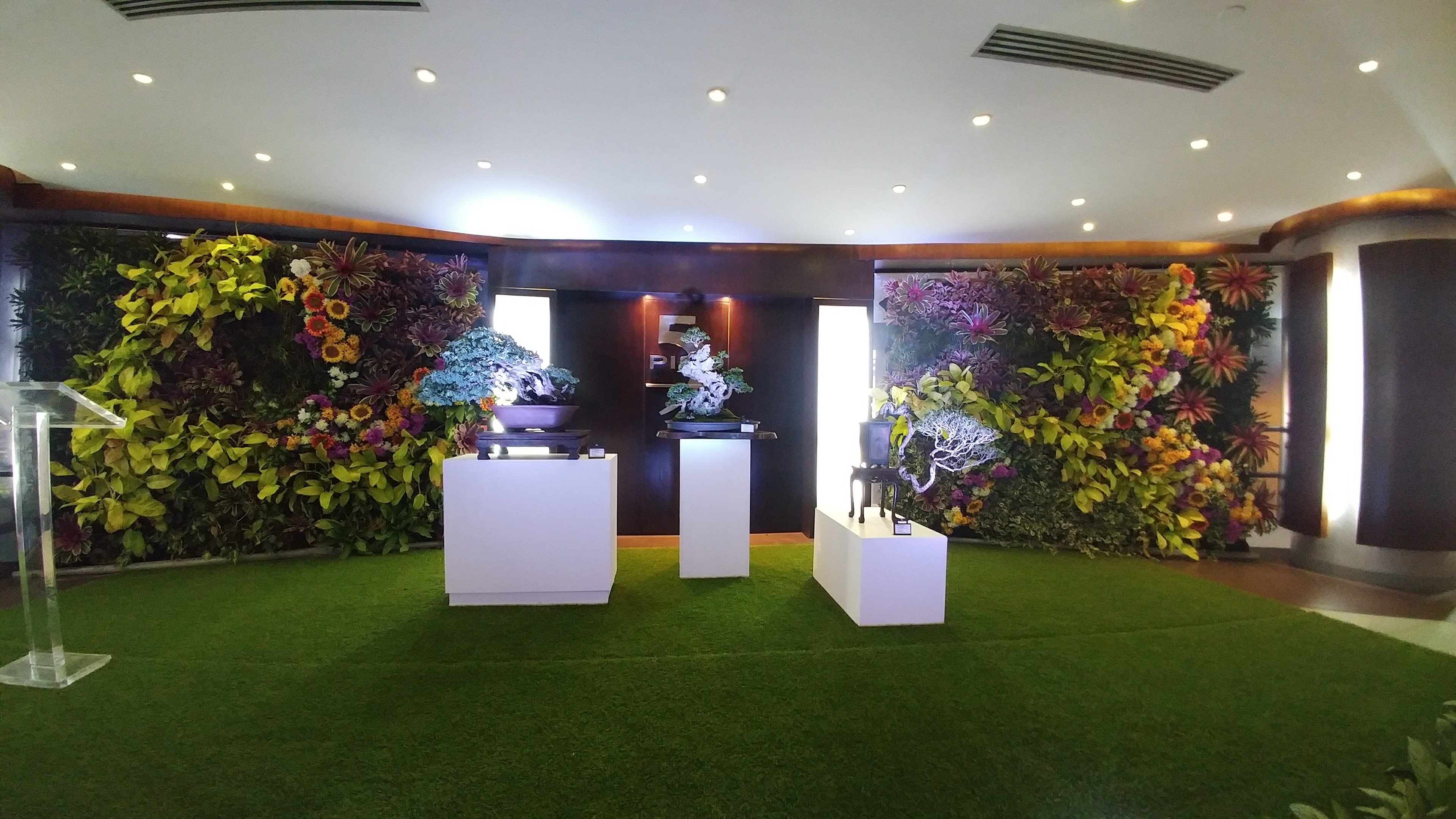 Exposicion de Bonsai – Tolon Mall 2017